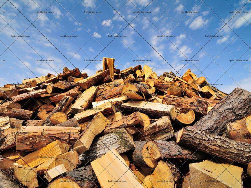 Firewood Pile