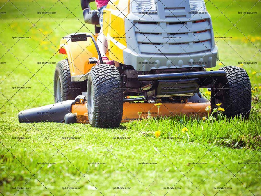 Cutting The Grass