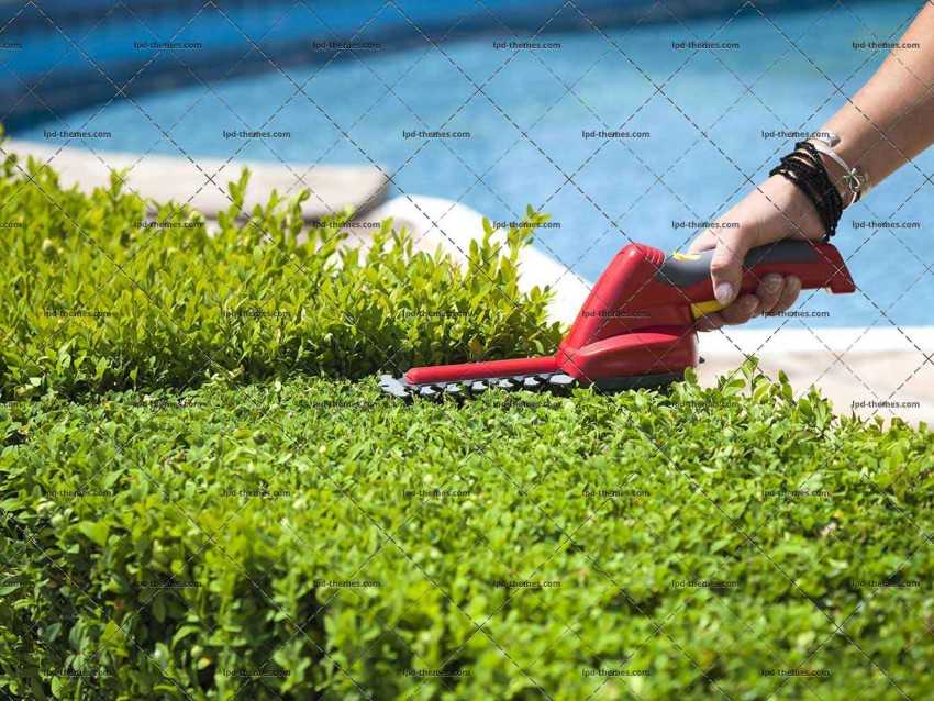 Hedge Trimmer