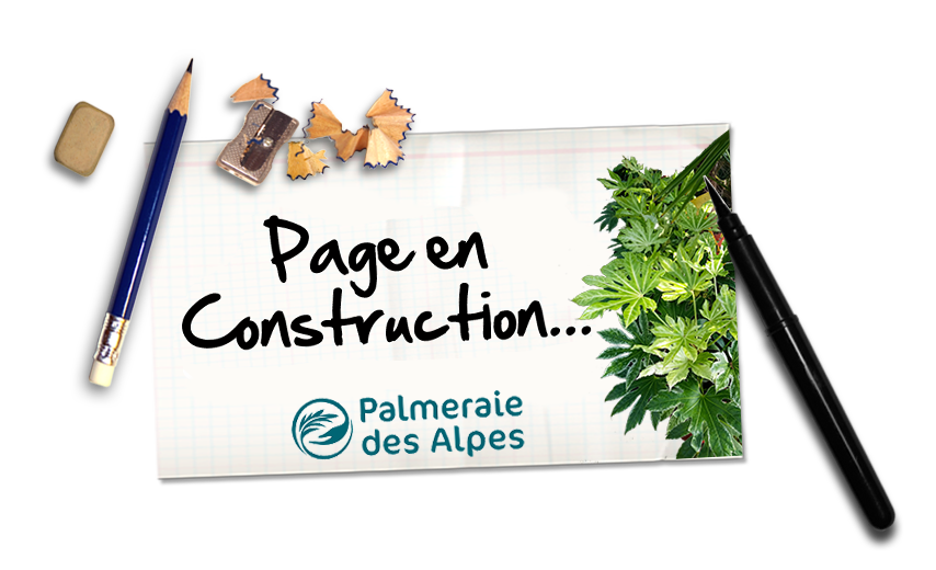 page_construction